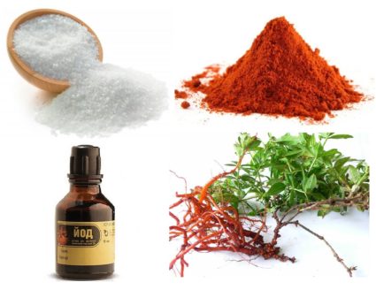 Лечение народными средствами Секреты наших предков