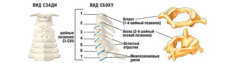 Выбор воротника