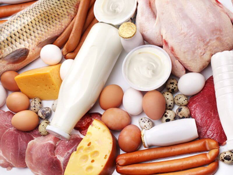 Источники белка