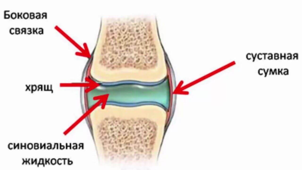 Синовиальная жидкость